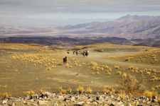 Namibia-Namibia-Desert Canyons Safari